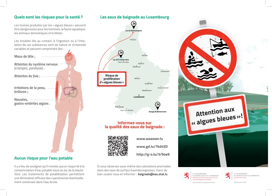 Attention aux „algues bleues“! - Flyer sur la thématique des cyanobactéries  (Pdf, 10,59 Mo)