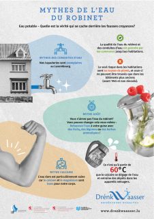 Drénkwaasser Infografik - Mythe de l'eau du robinet