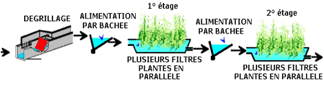 Filtres Plant s De Roseaux Administration De La Gestion De L eau filtres-plant-s-de-roseaux-administration-de-la-gestion-de-l-eau