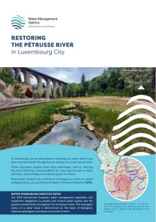 Restoring  the Pétrusse river