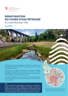Publication d’une brochure de présentation de la renaturation du cours d’eau Pétrusse à Luxembourg-ville