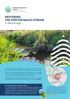Restoring the Trätter Baach Stream