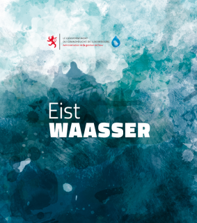 Eist Waasser 2013