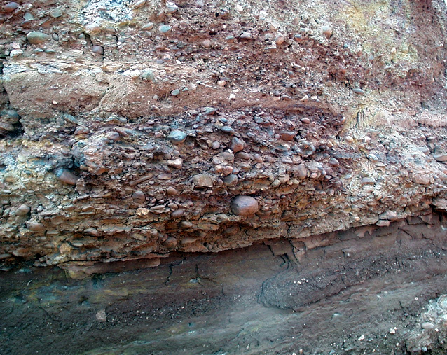 Photo 4 : Affleurement du Trias en faciès de bordure (SGL)