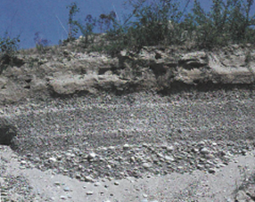 Photo 8 : Affleurement des alluvions (Michel, 2005)