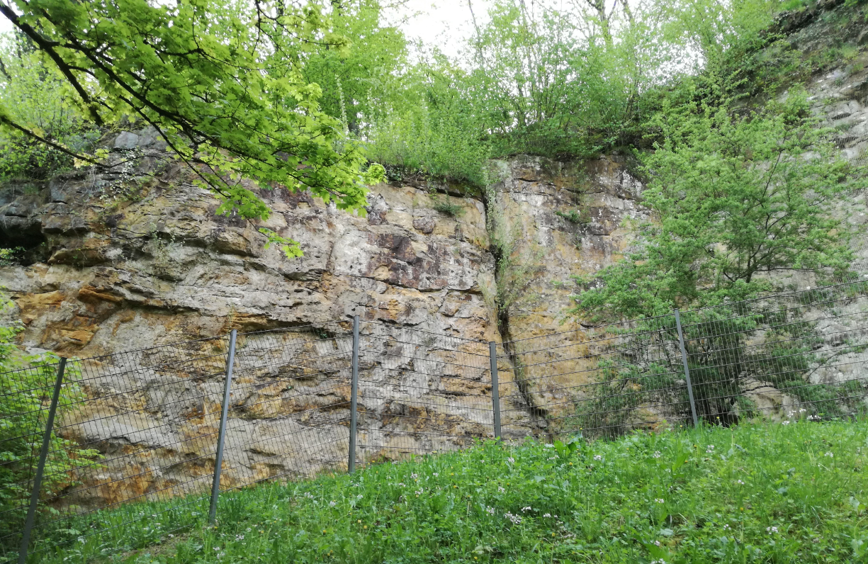 Photo 6 : Affleurement du Grès de Luxembourg à Luxembourg ville