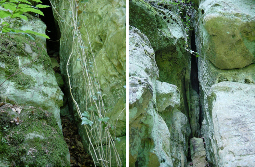 Photo 2 : Failles présentes dans le Grès de Luxembourg en amont d’un captage d’eau potable, entrainant une infiltration préférentielle et rapide des eaux de surface jusque dans les eaux souterraines (zone II-V1)